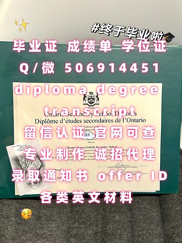 diploma (21)